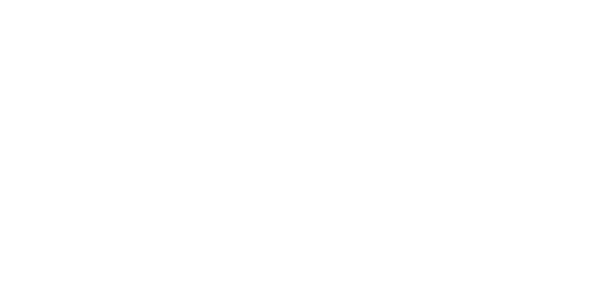 GOLD EXPERIENCES