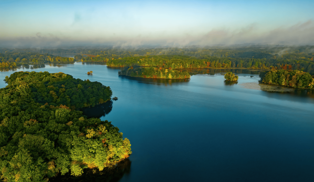 Aerial view of the vast Amazon rainforest, crossed by a winding river.