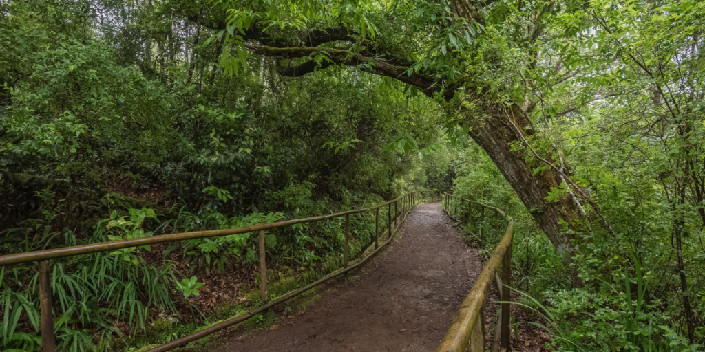 Caldeirão Verde