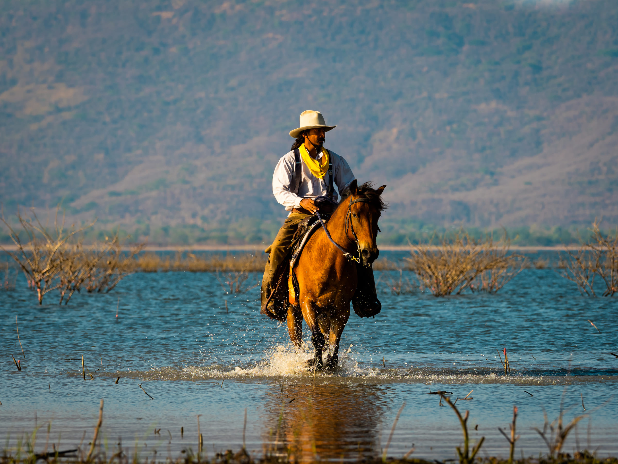 Pantanal-cow-boys brésiliens