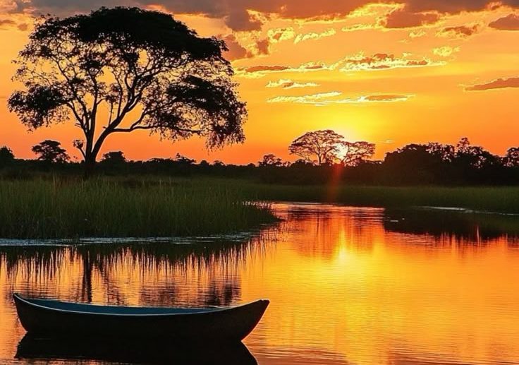 Leia mais sobre o artigo Pantanal, Where Silence Becomes an Experience