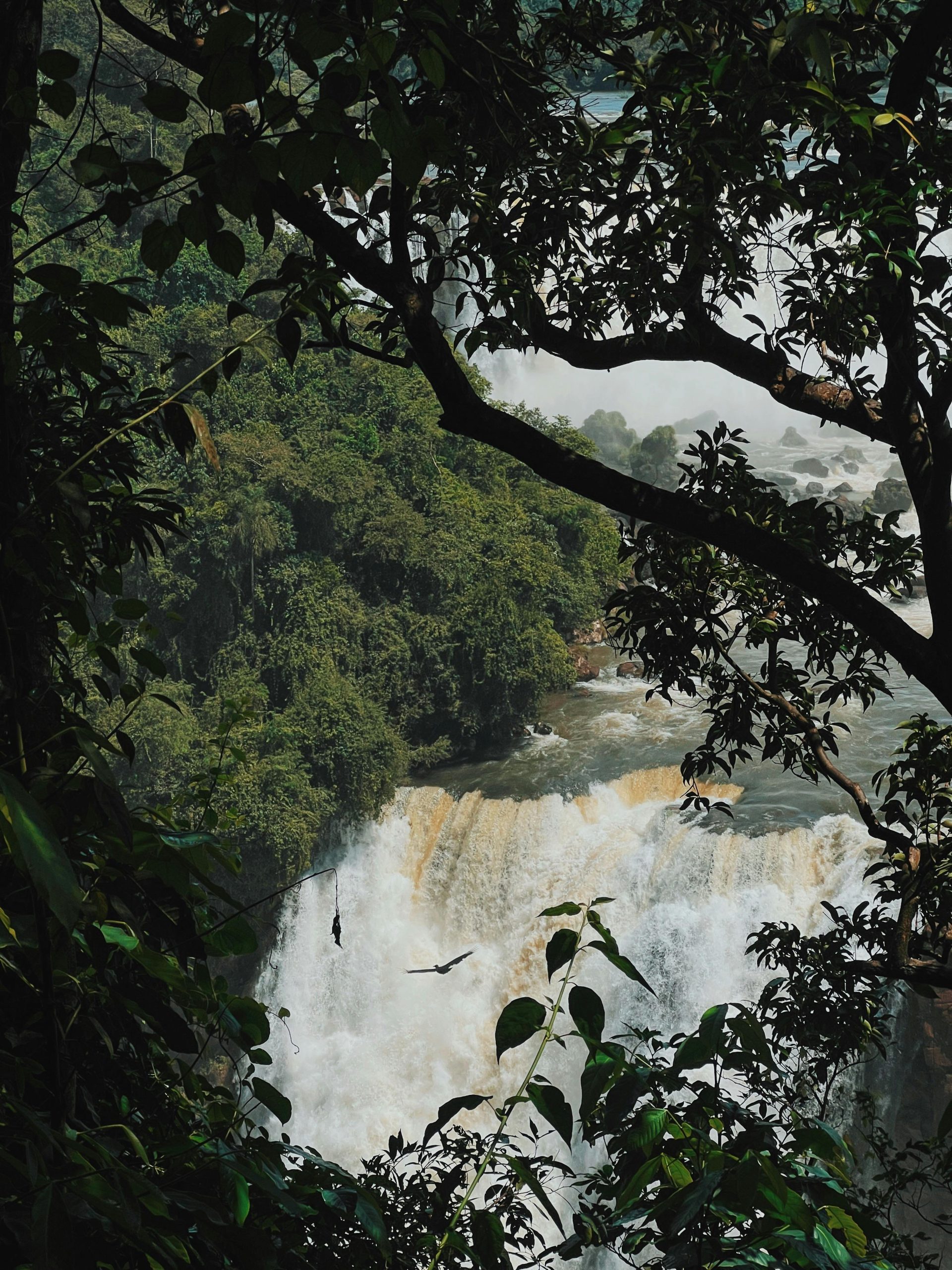 foz-do-iguaçu