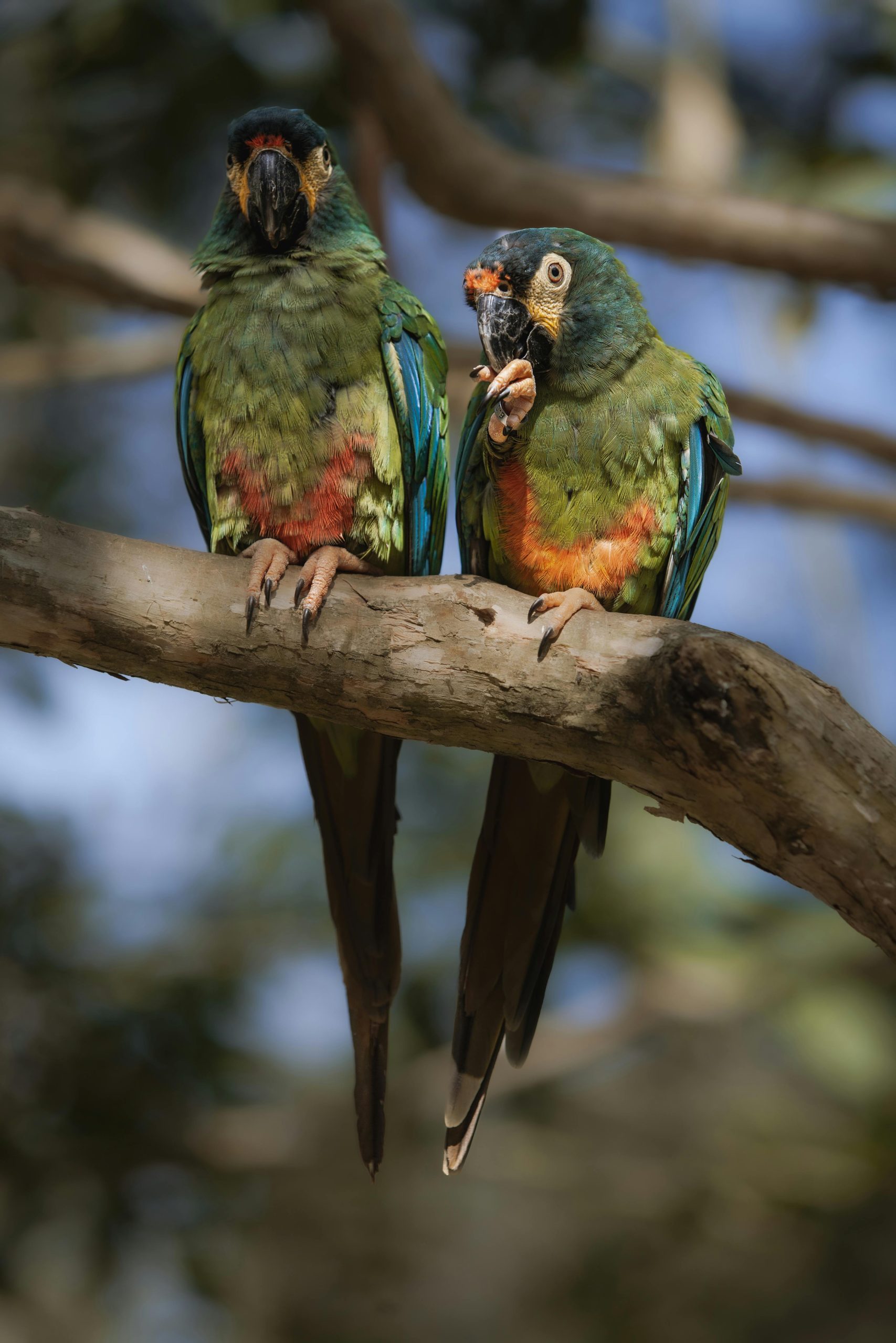 foz-do-iguaçu