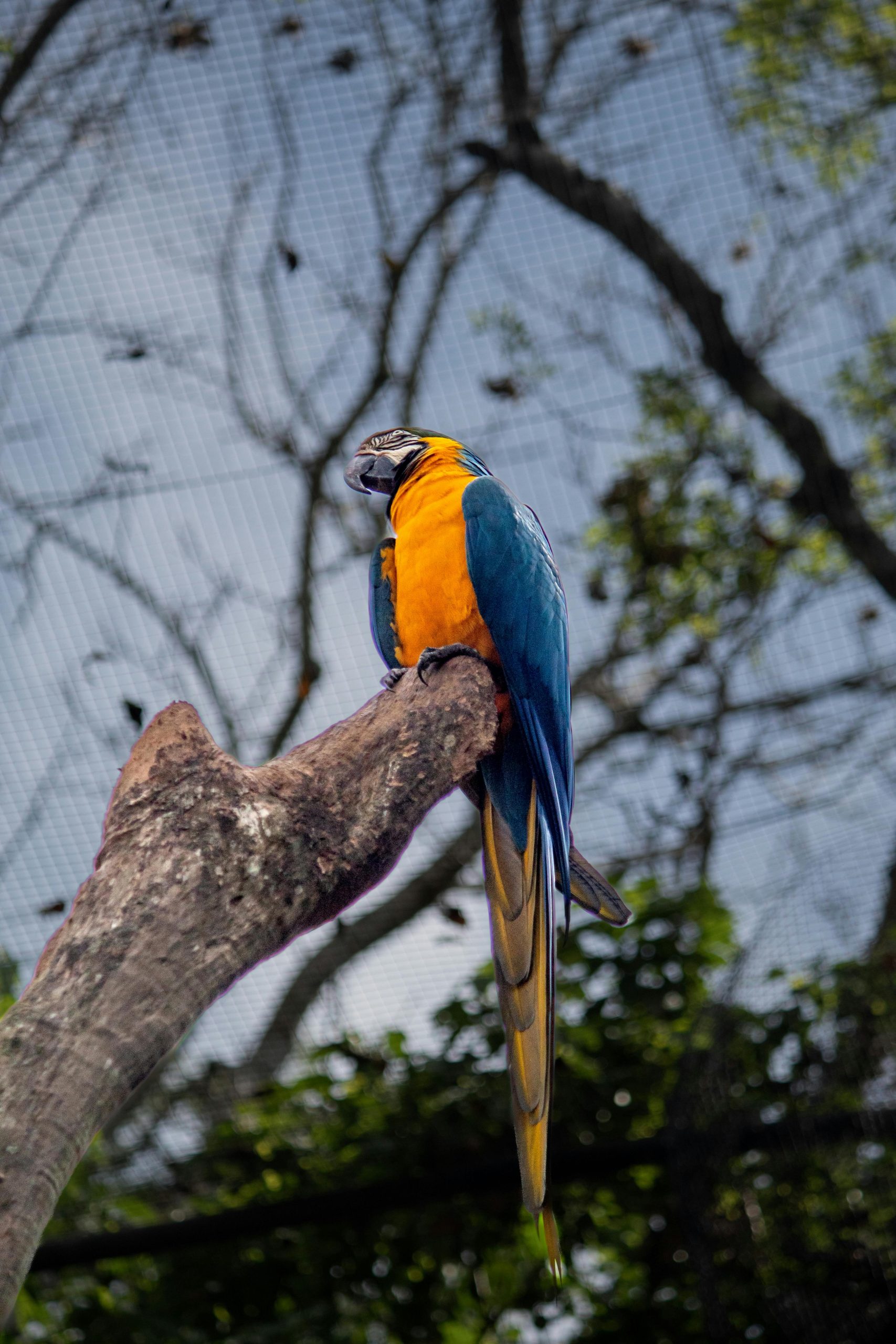 foz-do-iguaçu