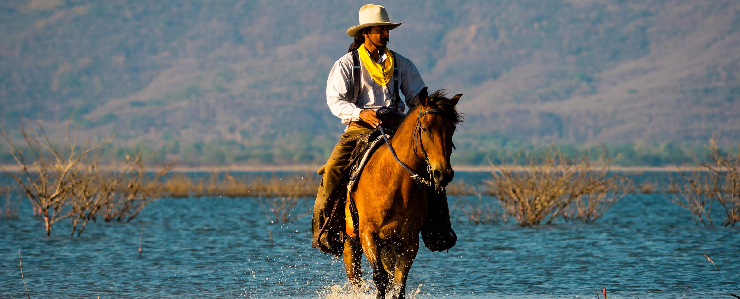 Pantanal-cow-boys brésiliens