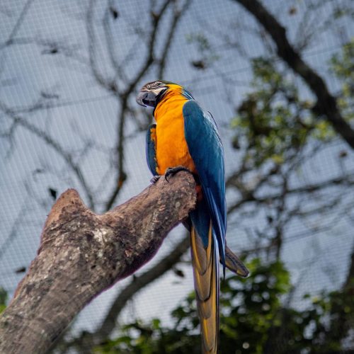 foz-do-iguaçu